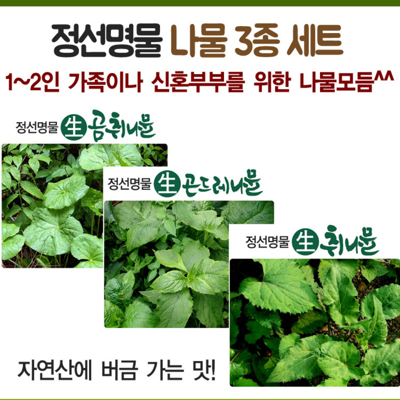 정선명물 곤드레+곰취+참취나물 3종세트 3kg